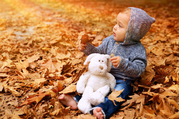  Cute little baby in autumn park