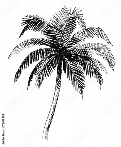 Naklejka na meble Czarne drzewko palmowe