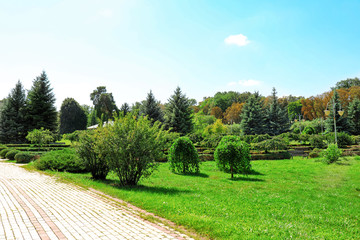 Wall Mural - Beautiful view of walkway in park