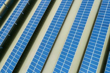 Wall Mural - solar power farms from above