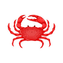 Flat Red Crab Isolated On White Background - Vector Illustration. Sea Water Animal Icon With Claws. Seafood Product Design