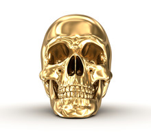 Golden Human Skull Over White , 3D Illustration