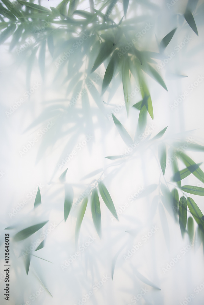 Green bamboo in the fog with stems and leaves behind frosted glass - obrazy, fototapety, plakaty 