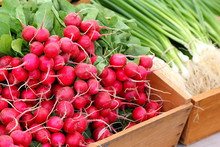 Radishes On Sale At The Farmer's Market