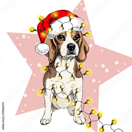Vector portrait of beagle dog wearing santa hat Christmas lights