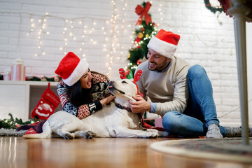 Wall Mural - Young happy couple with Santa hats cuddling adorable white dog with on the floor for Christmas holidays at home.