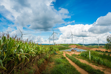 Wind turbine power generators on mountain