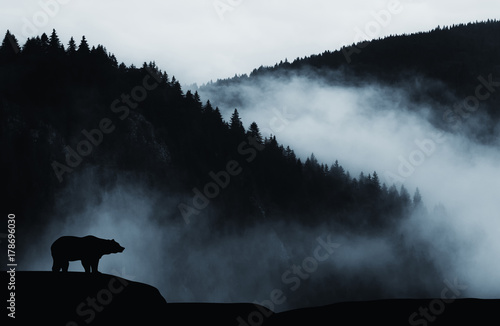 Fotografía minimal wilderness landscape with bear silhouette and misty mountains