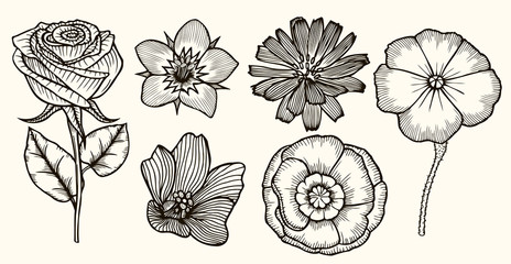 Sticker - Set Vintage flowers.