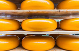 Fototapeta  - Large yellow rounds of gouda cheese closeup on shelves ready for market.