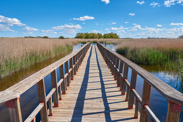 Vista de una Pasarela del Parque Nacional de las Tablas de Daimiel, Ciudad Real, España