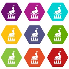 Sticker - Circus seal with a ball icon set color hexahedron