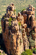 Color outdoor image of South Africa Graaff-Reinet,Valley of Desolation, Karoo, Camdeboo,, impressive bizarre rocks and stones on a sunny day