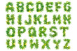 Alphabet made of green cannabis leaves on a white background. Isolated