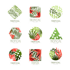 Sticker - Set of geometric tropical logo with leaves and flowers