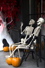 Halloween Outdooe Decor Skeletons Hanging Out At The Porch