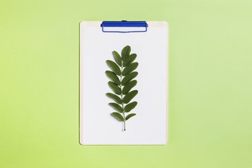 clipboard with white paper in the green background.