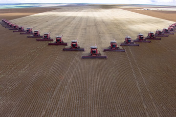 Wall Mural - Mato Grosso, Brazil, March 02, 2008: Mass soybean harvesting at a farm in Campo Verde