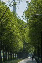 View Of The Washington Monument On The National Mall With Path Lined With A Row Of Trees Tourists And Commuters Walking.