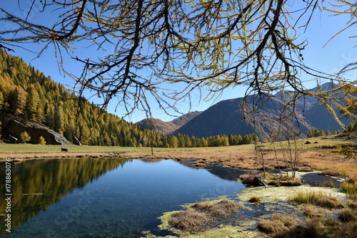 Montagna Autunno Colori Autunnali Lago Alberi Natura Panorama Paesaggio Riflesso Lago Alpi Trentino Paesaggistica Foto Paesaggi Buy This Stock Photo And Explore Similar Images At Adobe Stock Adobe Stock