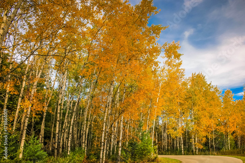 Scenic Drive In Fall Near Door County Wisonsin Buy This