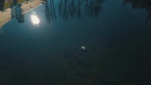 Young Wedding Couple Swimming On Board In Beautiful Lake Near Yellow Forest. Aerial View. Golden Autumn