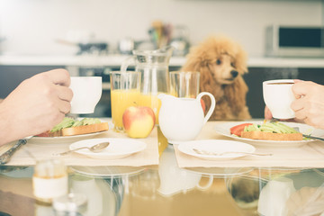 Couple having breakfast together. Healthy breakfast.