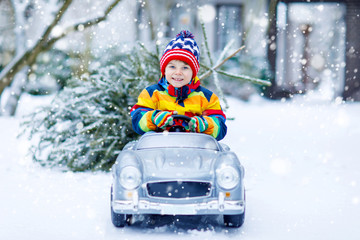 Wall Mural - Funny little smiling kid boy driving toy car with Christmas tree.