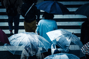  傘を差す人々 横断歩道