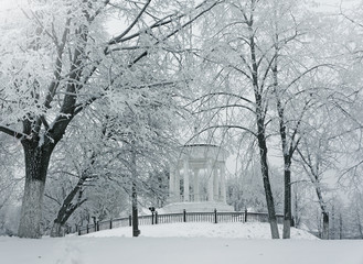 Wall Mural - Winter nature, pavilion and snowy trees in park