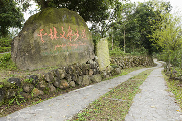 Wall Mural - beauty in Taiwan