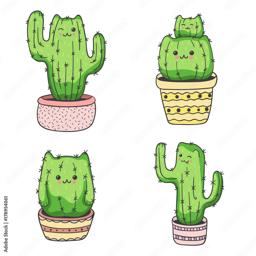 cactus st 6-9" San Pedro (Echinopsis pachanoi) Cactus Cutting