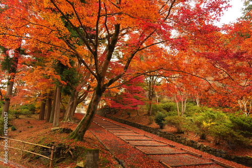 京都毘沙門堂の紅葉 Buy This Stock Photo And Explore Similar Images At Adobe Stock Adobe Stock 京都毘沙門堂の紅葉 Buy This Stock Photo And Explore Similar Images At Adobe Stock Adobe Stock