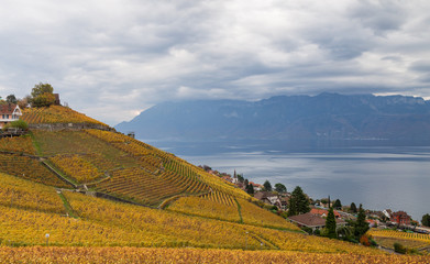 Autumn in Lavaux region 9