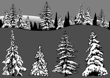 Snowy Coniferous Tree Set - Four Conifers And Snowy Forest, Design Elements Illustration, Vector