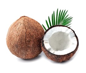 Canvas Print - Coconuts with leaves.