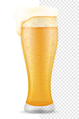 beer in glass transparent stock vector illustration