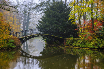 Poster - Scenic view of misty autumn landscape with beautiful old bridge in the garden with red maple foliage.