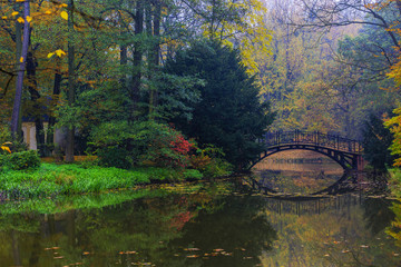 Poster - Scenic view of misty autumn landscape with beautiful old bridge in the garden with red maple foliage.