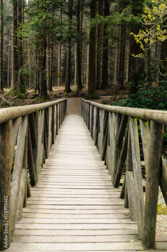 Cuadros en Lienzo Wooden bridge over the Shimna River, Northern Ireland, as featured in a scene fr
