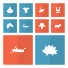 Set Of 10 Alive Icons Set.Collection Of Mantis, Poisonous, Hippo And Other Elements.