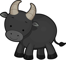 Dwarf Buffalo Illustration