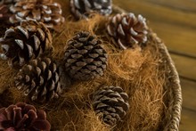 Close Up Of Pine Cones And Hay In Basket