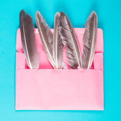 Wall Mural - idea five feathers in a pink envelope. minimalism