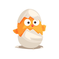 Sticker - Funny yellow newborn chicken in broken egg shell