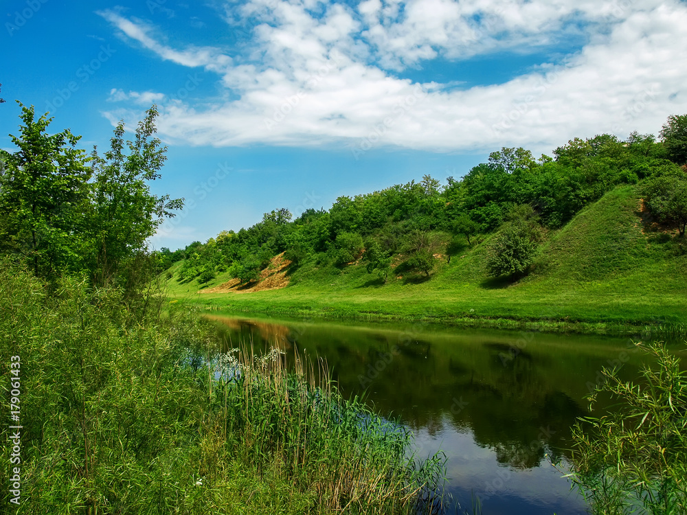 The river in the spring in a sunny day. - obrazy, fototapety, plakaty 