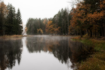 Misty autumn morning by the riverside. Farnebofjarden national park in Sweden.