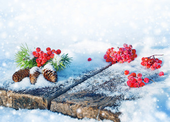 Wall Mural - Spruce bumps with red ashberry on an old snow-covered table