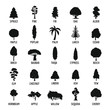 Tree icons set, simple style
