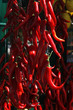 Rote Chilischoten aufgehängt am Markt, Gardasee, Italien, Europa